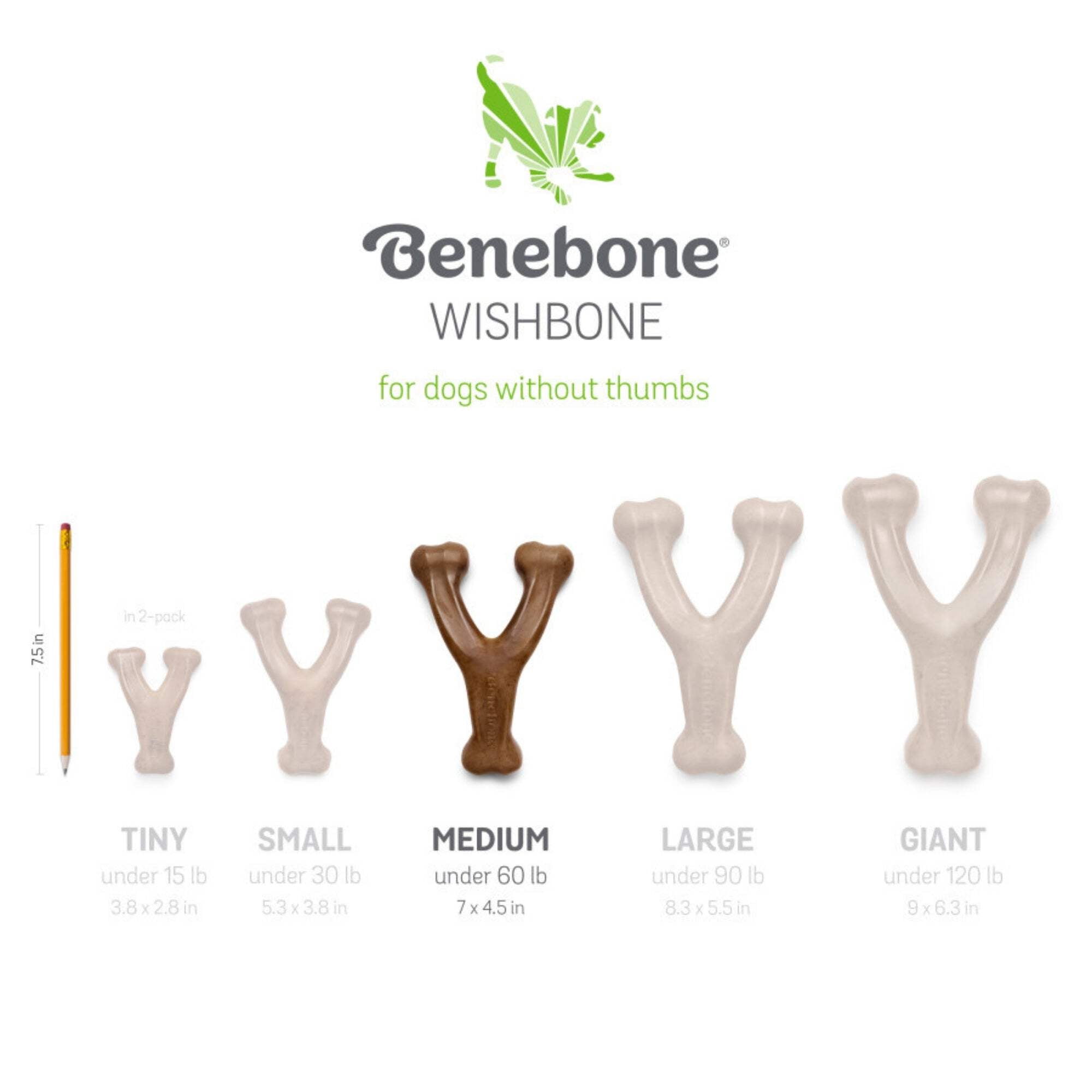 Benebone Fishbone Wishbone Dog Chew Toy Bacon, 1ea/MD|2 pk