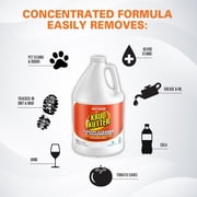 Krud Kutter Instant Carpet Stain Remover Plus Deodorizer, 1 Gallon