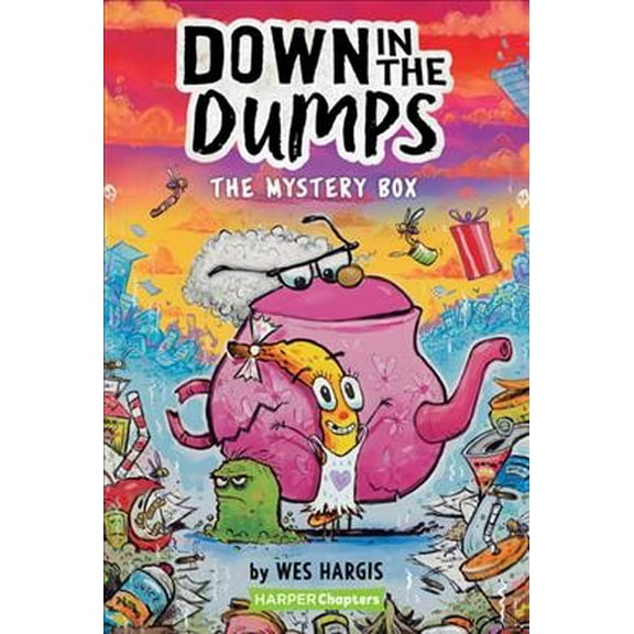 Pre-Owned Down in the Dumps #1: The Mystery Box (Harperchapters) Paperback