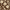Brown Floral, variant on Yayeee Window Curtains Set of 2 for Living Room Light Filtering 63"x42", Green Birds