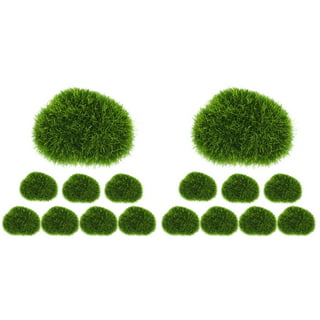 Green Moss Balls - Preserved Sheet Moss - 6 Inch – Bella Marie