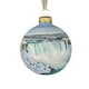thumbnail image 1 of Ireezec Natural Wonders ries Christmas Ball Flat Acrylic Ornament Hanging Pendant for Holiday Tree Decorations Winter Festival Home Party Decorative Gift, 1 of 2