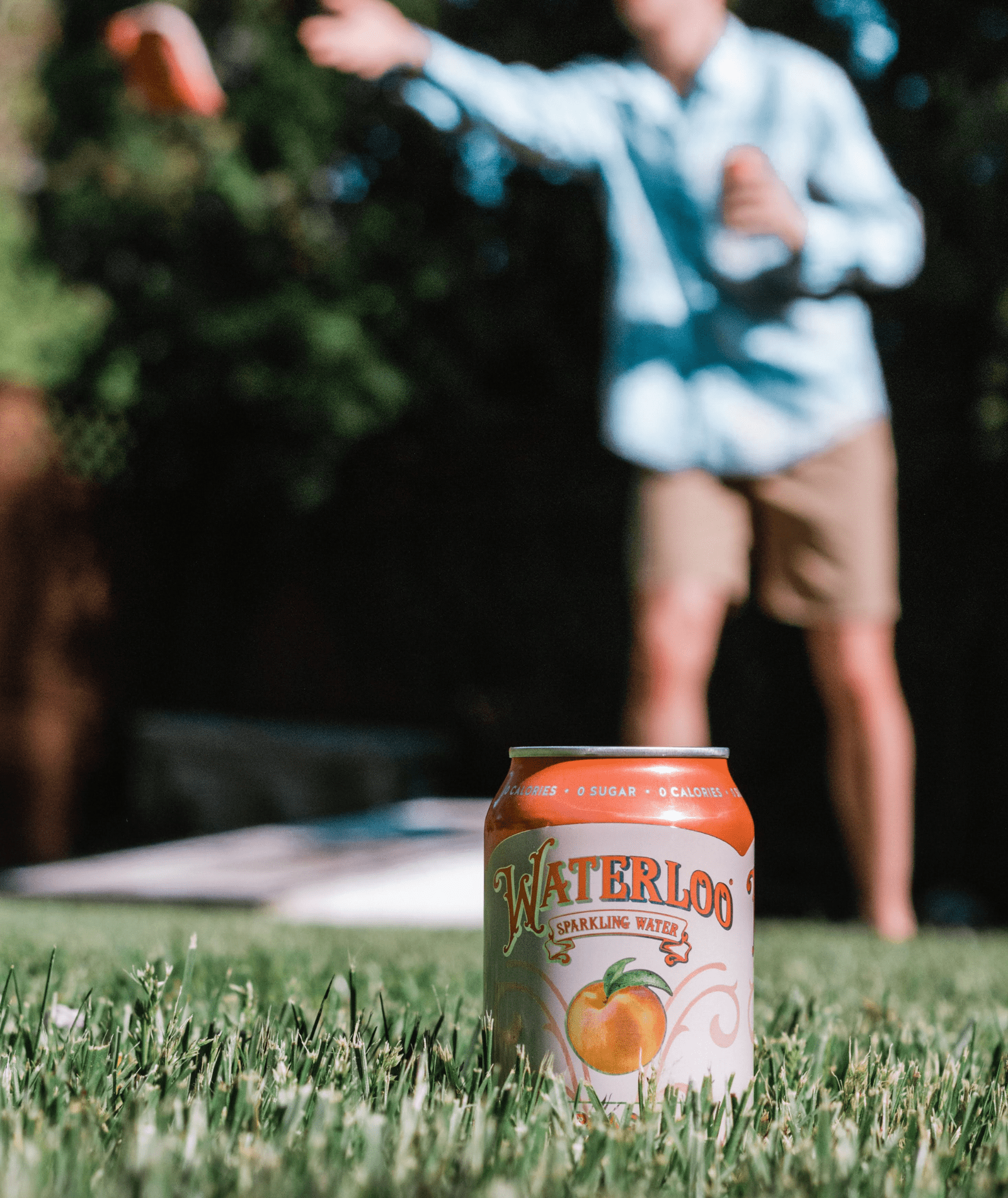 (3 pack) Waterloo Sparkling Water, Peach, 12 fl oz, 8 pack cans