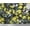 Black, variant on Soimoi Cotton Duck Fabric Leaves & Yellow Flower Watercolor Printed Fabric 1 Yard 42 Inch Wide