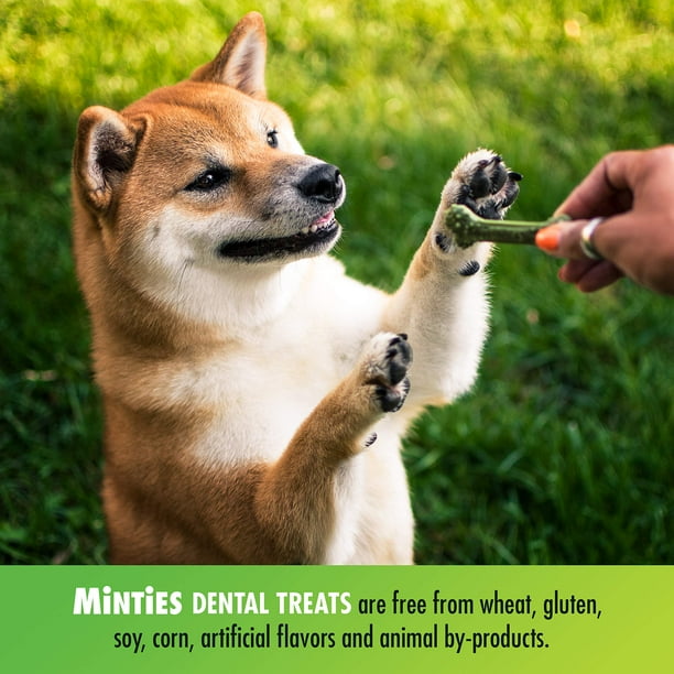 Walmart dog dental best sale chews