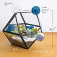 thumbnail image 2 of Creations by Nathalie | Geometric Terrarium | Handmade in USA - Assembled 6" x 6" x 7", 2 of 12
