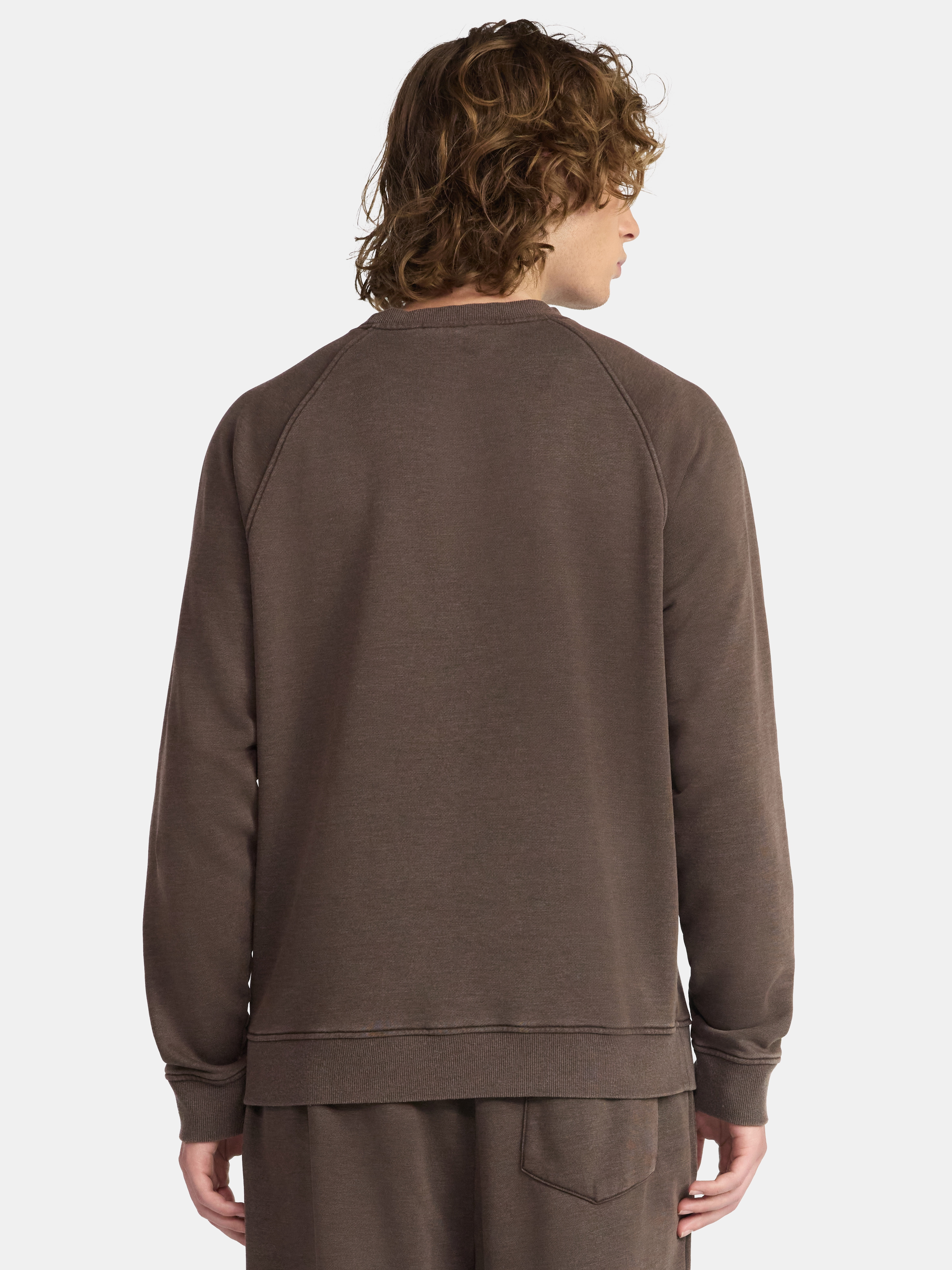 No Boundaries Crewneck Sweatshirt with Long Sleeves, Men's & Big Men's