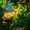 B, variant on LSLJS New Solar Resin Ground Lamp Outdoor Garden Lights Garden Decoration Arrangement Lights, Garden Light