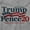 Sport Grey, variant on Donald Trump for 2024 President Men's Graphic T Shirt Tees Brisco Brands S