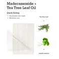 thumbnail image 4 of Parches para rostro Pimple Lab Zit, 2 paquetes (220 puntos) con herramientas, 4 of 8