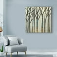 thumbnail image 3 of Trademark Fine Art 'Birch Line I' Canvas Art by Jennifer Goldberger, 3 of 4