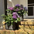 thumbnail image 2 of WHW Whole House Worlds French Country Style Oval Planters, Set of 2, Corrugated Bellies, Stepped Base, Rolled Rims, 14.25 and 18.5 Inches, Iron, 2 of 9
