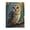 Style4, variant on 500 Piece Jigsaw Puzzles For Adults Adorable Kitten On A Path Cute Animal Puzzles Relaxing And Challenging Brain Teaser Quality Pieces Great Gift Idea