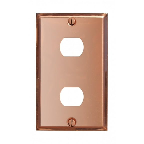 Switchplate Solid Copper 2 Interchangeable/Despard | Renovator's Supply