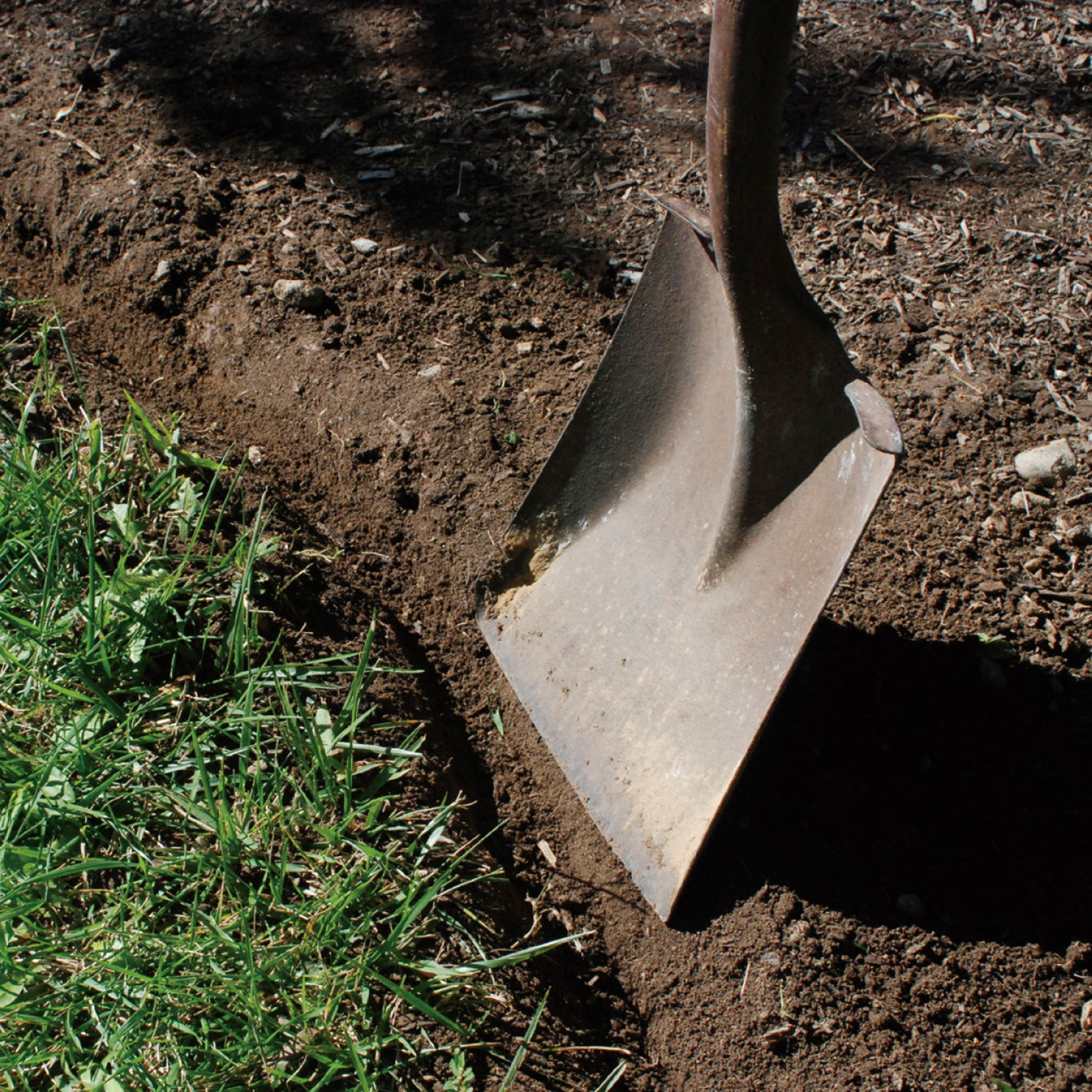 Garden Edging 20-Feet Dimex Landshark Scallop Top Pound-In Plastic