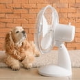 thumbnail image 2 of Ventilador De Escritorio Dosyu Abanico De Mesa Oscilatorio 5 Aspas 3 Velocidades, 2 of 5