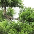 thumbnail image 4 of Northlight 1.5' Unlit Artificial Japanese Bonsai Tree in a Planter Box, 4 of 6