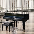 thumbnail image 4 of BESTYASH Protectores Para Patas De Piano Multifuncionales Con Material Absorbente De Impactos Y Ruido, 4 of 6