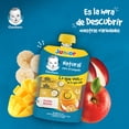 thumbnail image 5 of Alimento para niños Gerber junior frutas mixtas 120 g, 5 of 5