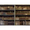thumbnail image 2 of wall26 - Historic Old Books in Ancient Library, Wooden Bookshelf - Removable Wall Mural | Self-Adhesive Large Wallpaper - 66x96 inches, 2 of 6