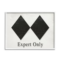 Stupell Industries Double Black Diamond Ski Sport Symbol Experts Only, 30 x 24, Design by Daphne Polselli