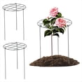 thumbnail image 2 of Soporte para Peonías, Jaula de Plantas, Plantas en Crecimiento Adecuado Rosas, Tomates y Orquídeas, 2 of 5