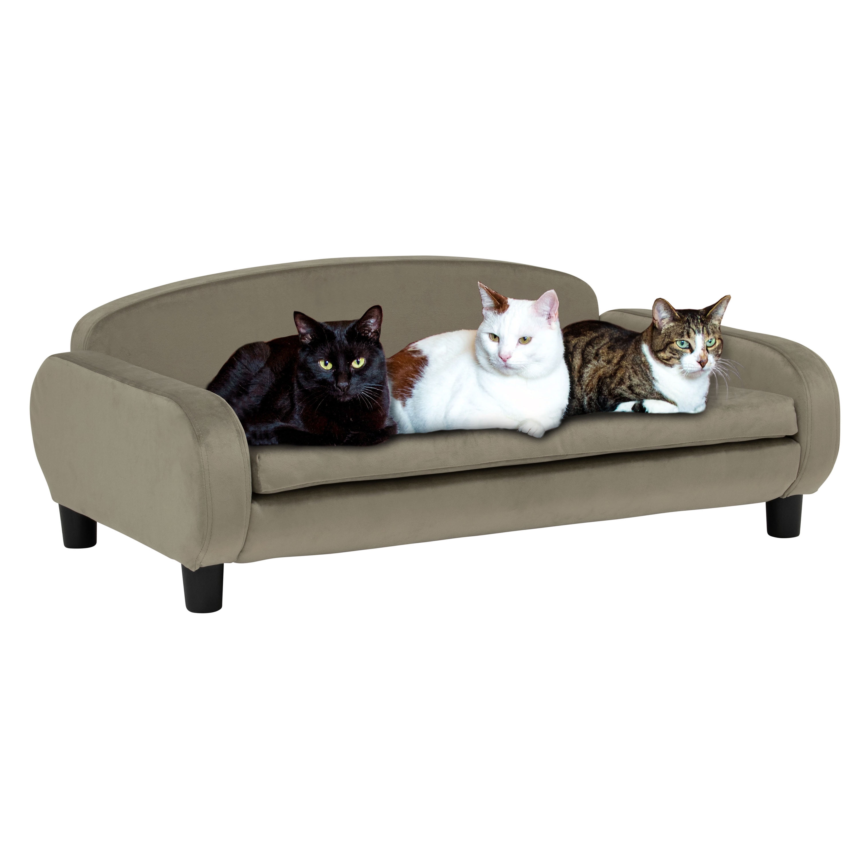 Paws & Purrs Multi-Cat Sofa Bed – 41.5″ Wide Elevated Pet Couch with 3″ Foam Mattress, Removable Machine-Washable Cover – Stylish Indoor Pet Furniture for Two or More Cats and Dogs, Ash