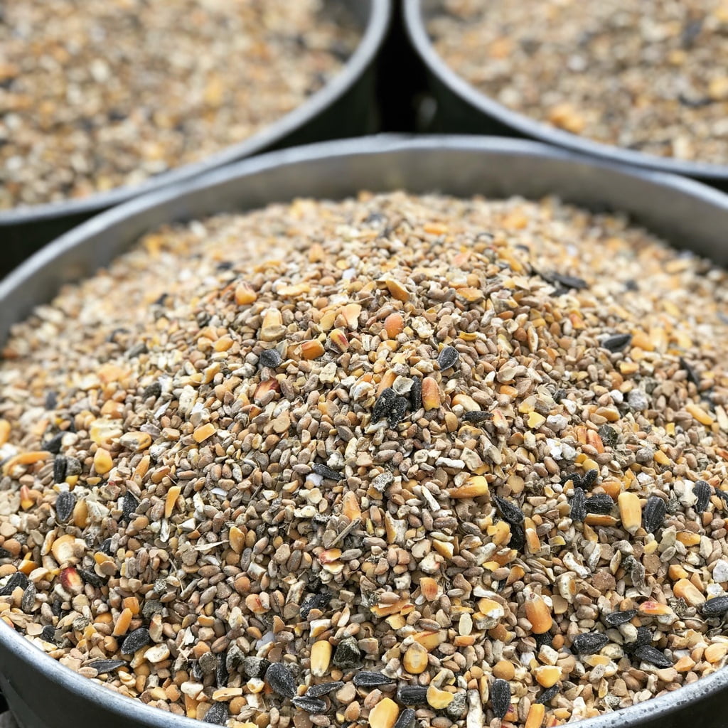Wholesome Harvest Non-GMO High-Protein Layer Blend, A feathering feed great for molting birds, 40lb
