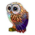 thumbnail image 1 of Colorful Owl - 12" Vinyl Sticker Waterproof Decal, 1 of 1