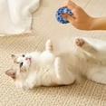 thumbnail image 4 of Jouets pour Animaux en Fil Pur Design Auto-Jouant pour Chat, 4 of 4