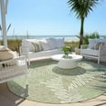 thumbnail image 6 of Addison Rugs Chantille Indoor/Outdoor Transitional Floral Aloe Washable Round Rug, 8' x 8', 6 of 6