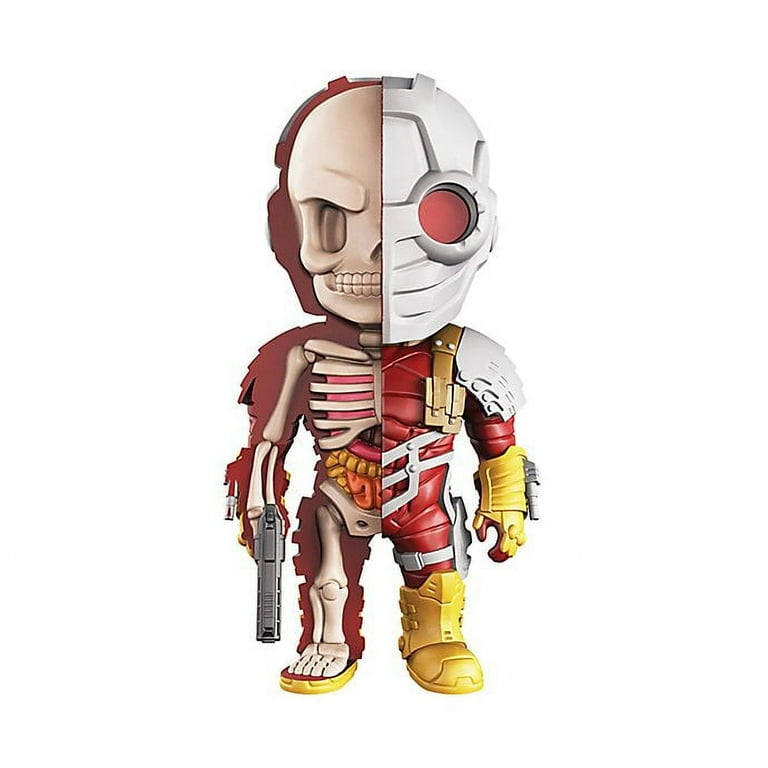 4D Master 4D XXRAY Dissected Vinyl Art Figure - DC Justice League