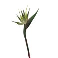 thumbnail image 1 of Xingzhi Réaliste pour l'Application d'Apparence Réaliste Réaliste S Vert, 1 of 6