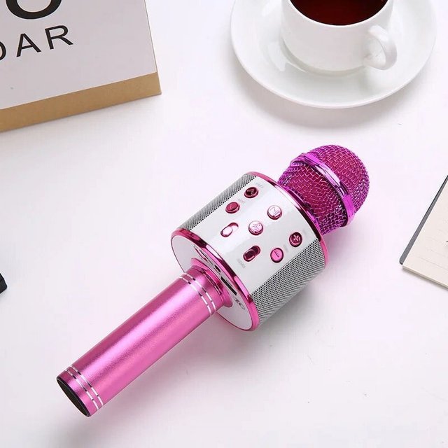 Dsseng Professional Handheld Wireless Karaoke Microphone USB Speaker Microphone for Kids Music Player Singing Recorder KTV