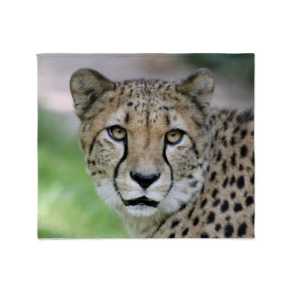 CafePress - Cheetah_2014_0901 Throw Blanket - Soft Fleece Throw Blanket, 50"x60" for All Ages