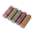 thumbnail image 1 of Fil à Broder, 5 Pcs Fil à Coudre Multicolore Dégradé Bobines Fil Multicolore Esthétique Élégante, 1 of 9