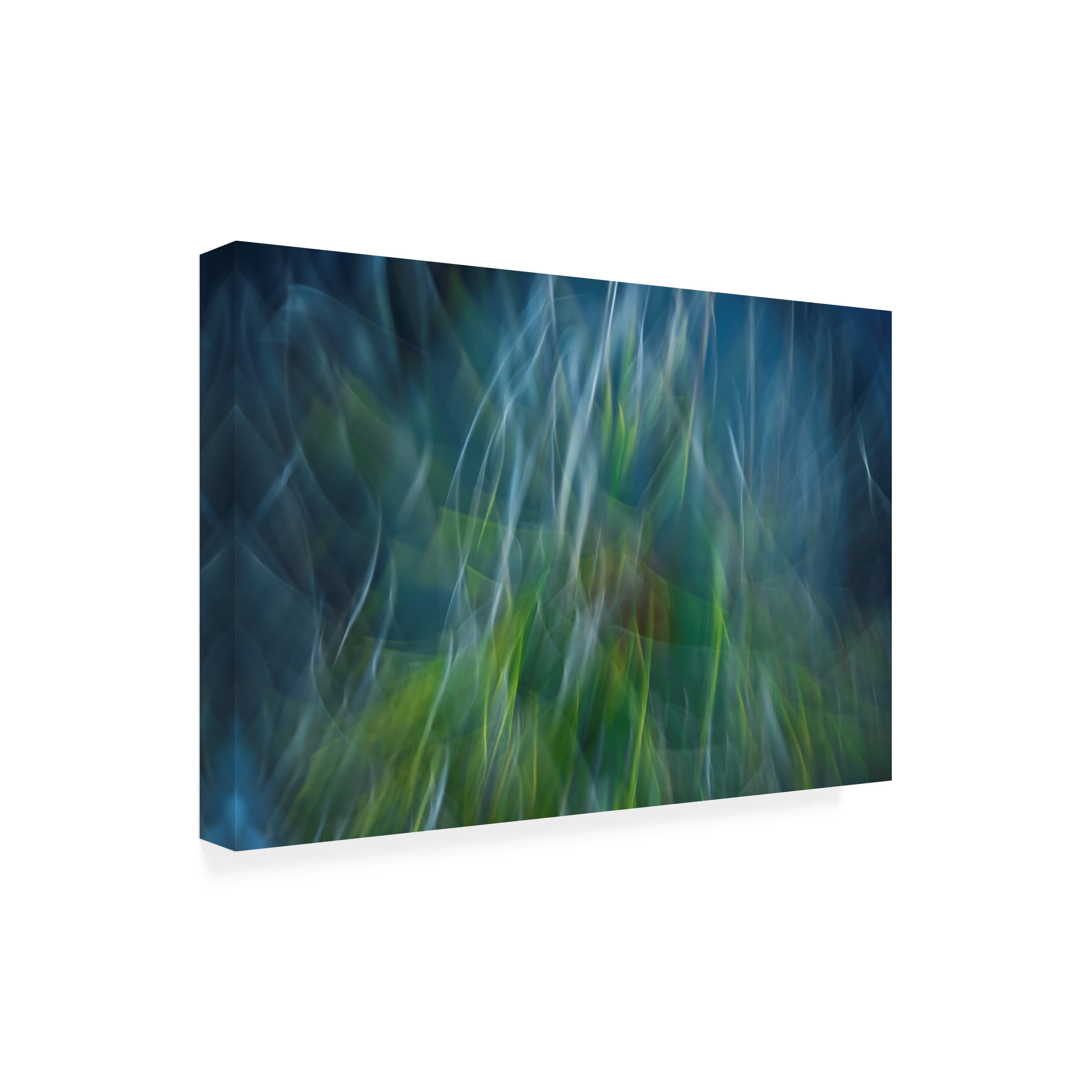 Paulo Abrantes 'Electro Shock Blues' Canvas Art