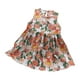 thumbnail image 1 of Odeerbi Niñas Verano Algodón Tank Vestido Floral Sol Bebé Impresión Gráfica Sin Mangas A-Line Vestido, 1 of 5