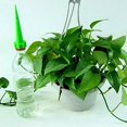 thumbnail image 3 of 12 x Sistema de riego de botellas de riego de plantas de flores de riego de cono de jardín Ndcxsfigh Nuevos Originales, 3 of 6