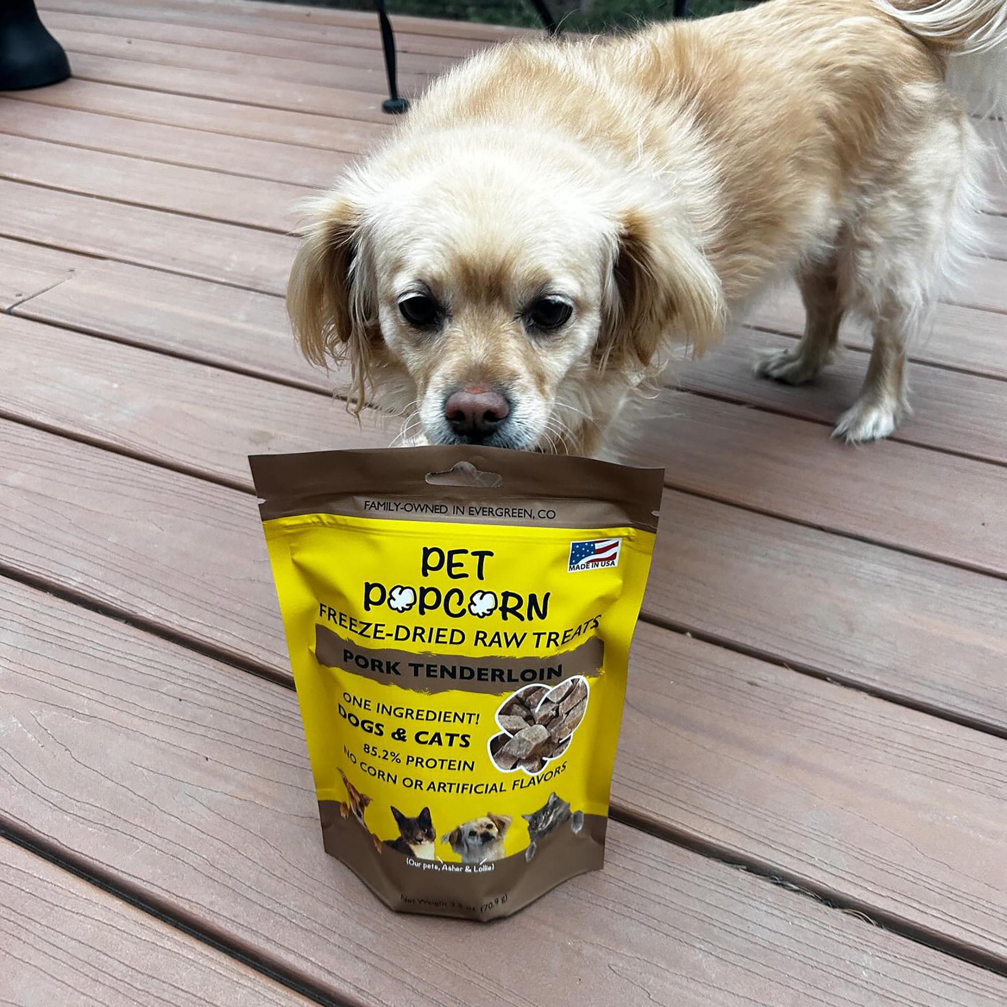 Pet Popcorn: Freeze-Dried Raw Treats - Pork Tenderloin - 2.5oz Bag, Dog & Cat Snacks, Single Ingredient, Natural, Pet Food Topper, Protein‑Packed Meat