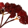 thumbnail image 3 of Adorno Hogar Artificiales Flores Hierba Planta de Desierto para Oficina Boda, 3 of 6