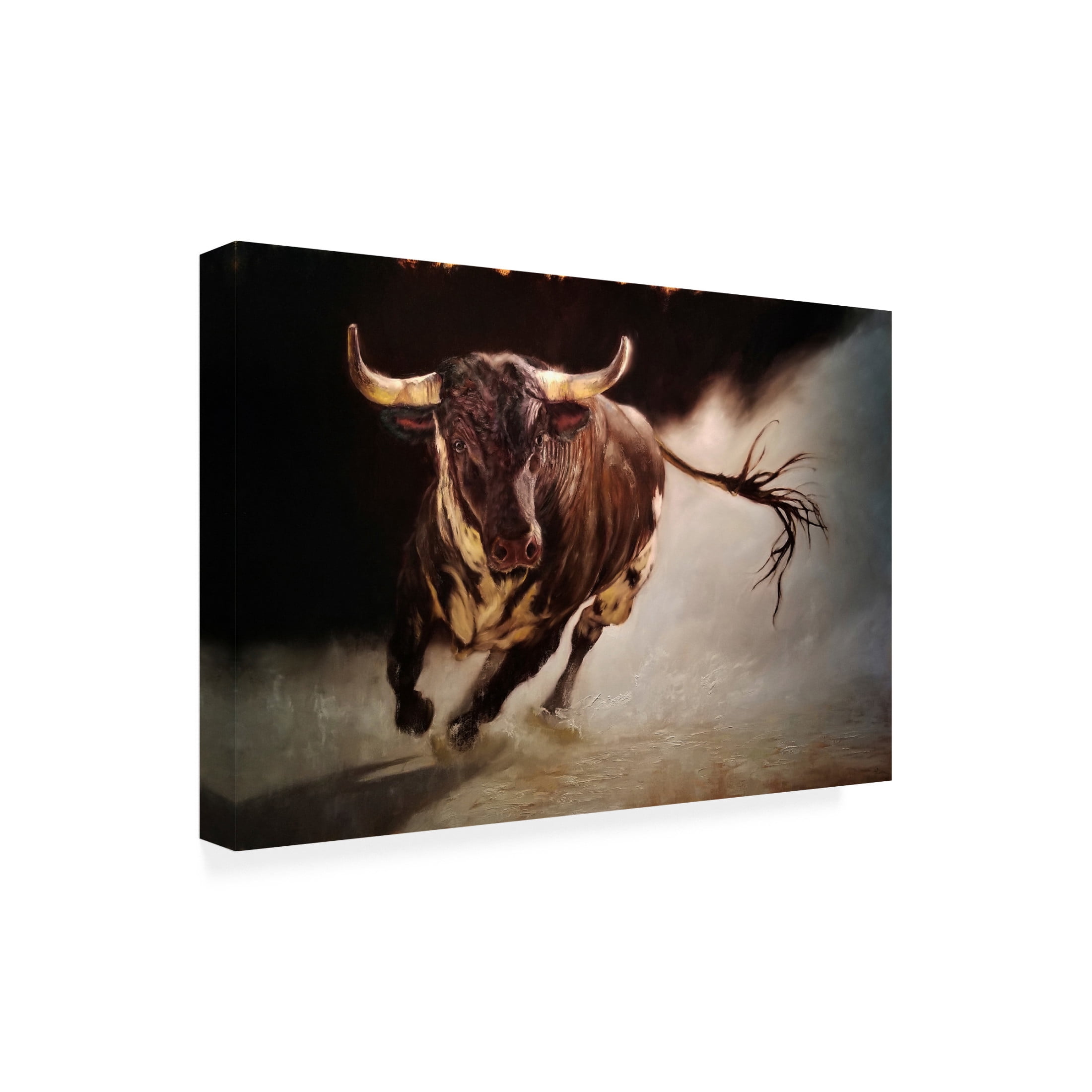 Canvas Wall Art - Lucia Heffernan 'El Toro 2' Wall Art for Living Room, Bedroom, or Office Décor by Trademark Fine Art - 24 x 16 Inches