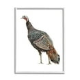 thumbnail image 4 of Stupell Industries Wild Turkey Bird Watercolor Painting Kids' Nursery Animal, 16 x 20,Design by Fox Hollow Studios, 4 of 5