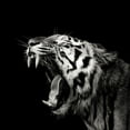thumbnail image 2 of Meermann, Christian 20x20 Gold Ornate Wood Framed with Double Matting Museum Art Print Titled - Primal Yawn #4, 2 of 4