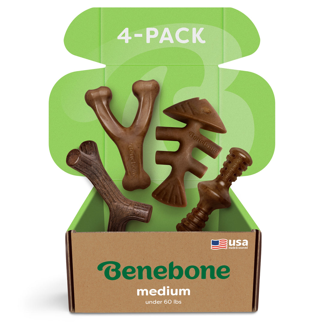 Benebone Medium 4-Pack Bacon Dog Chew Toys photo 1