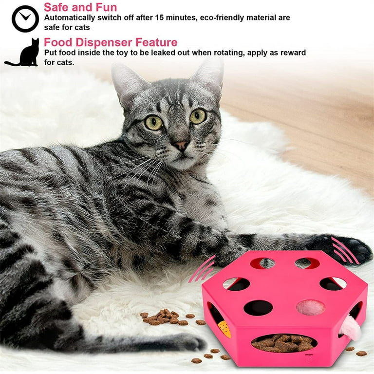 Pet Cat Toy, Interactive Training Cat Box Puzzle Toy Bash Game