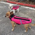thumbnail image 4 of Arnés para perros CoyoteVest SpikeVest SpikeVest Spike Protection, 4 of 8