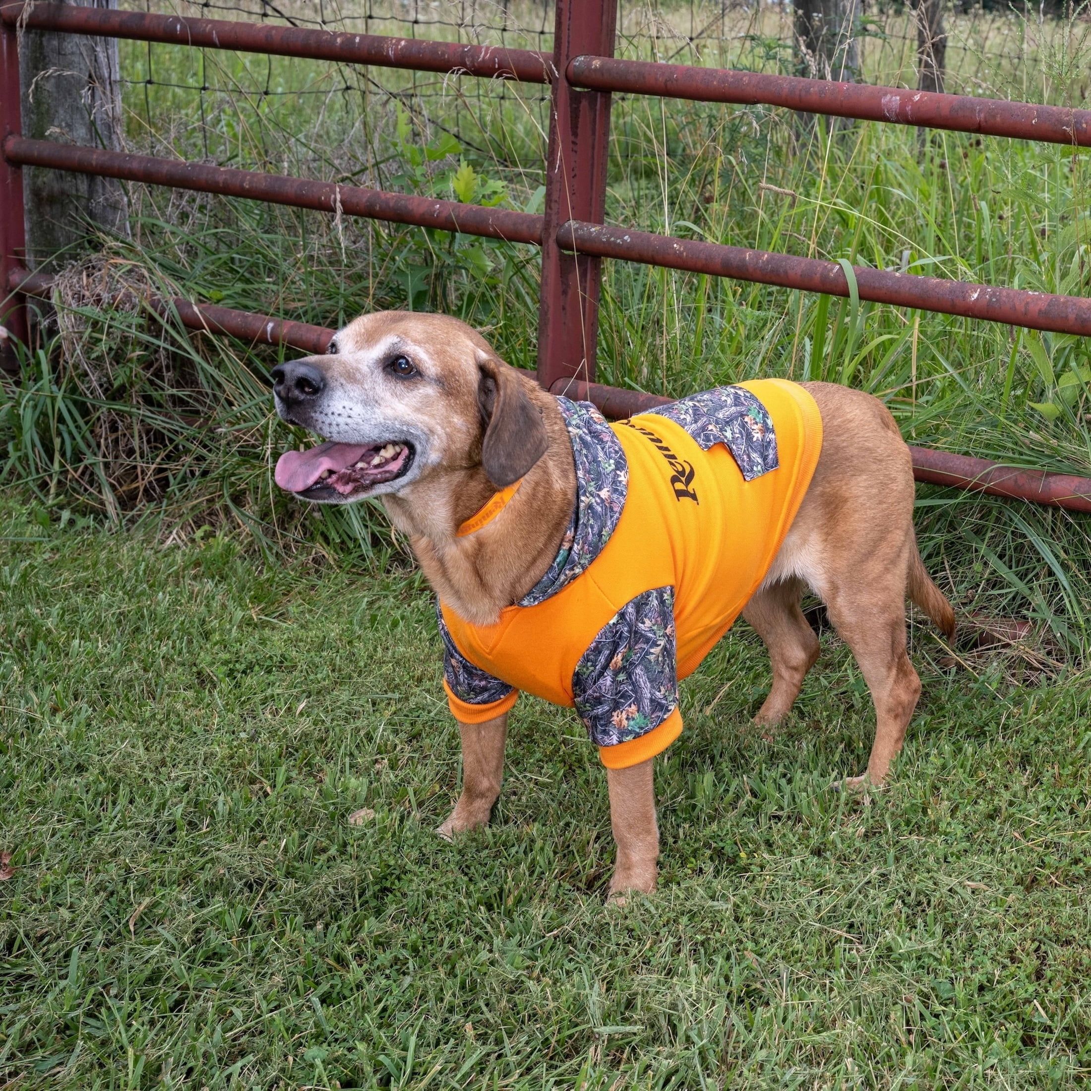 Remington Camo Logo Pet Hoodie for Dogs, Orange, Size M