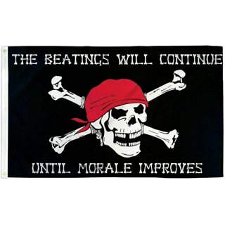 the beatings will continue until morale improves flag 