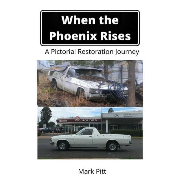 When the Phoenix Rises, (Paperback)